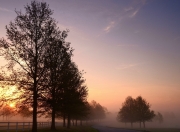 雷火电竞简介-银鞍照白马，剑气动京城，乔治一役成山西侠客