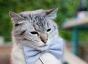 雷火电竞-篮球双星夜，尼克斯加时力克浙江队，约基奇刷新纪录再铸传奇