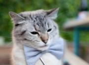 雷火电竞-篮球双星夜，尼克斯加时力克浙江队，约基奇刷新纪录再铸传奇