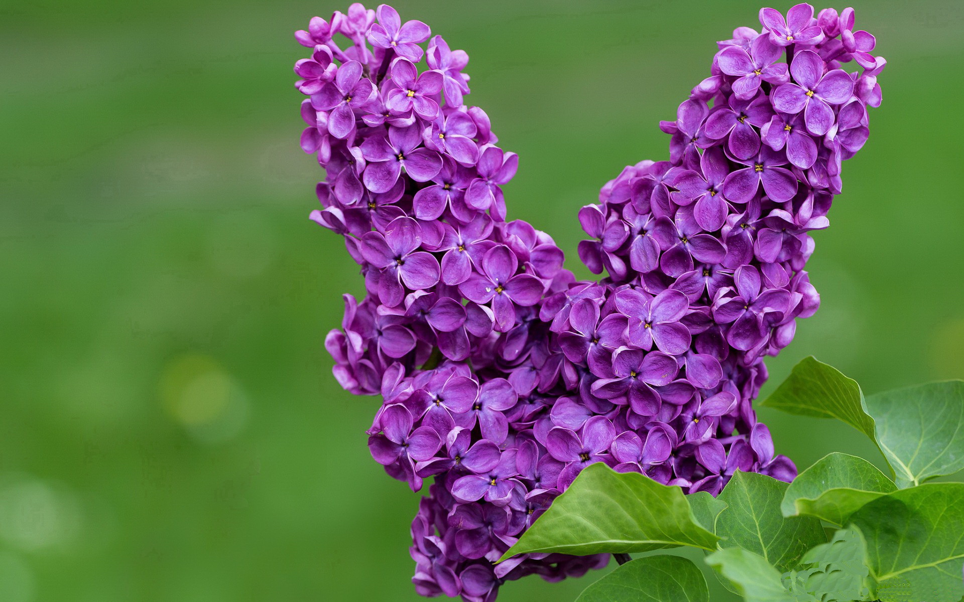 东方与西方的篮球对话，当杜兰特用无解单打撕开中国篮球的防线