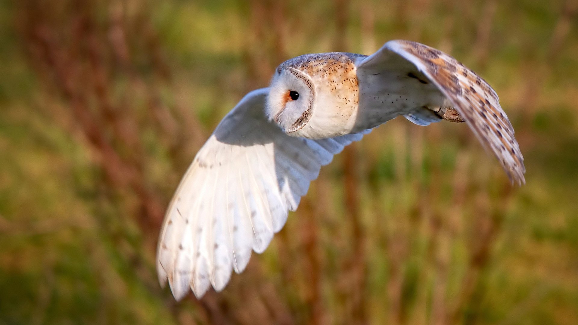 封锁与奔涌,当马赛的铁壁遇见国家德比的怒涛—两个无关的瞬间,同一个足球的本质