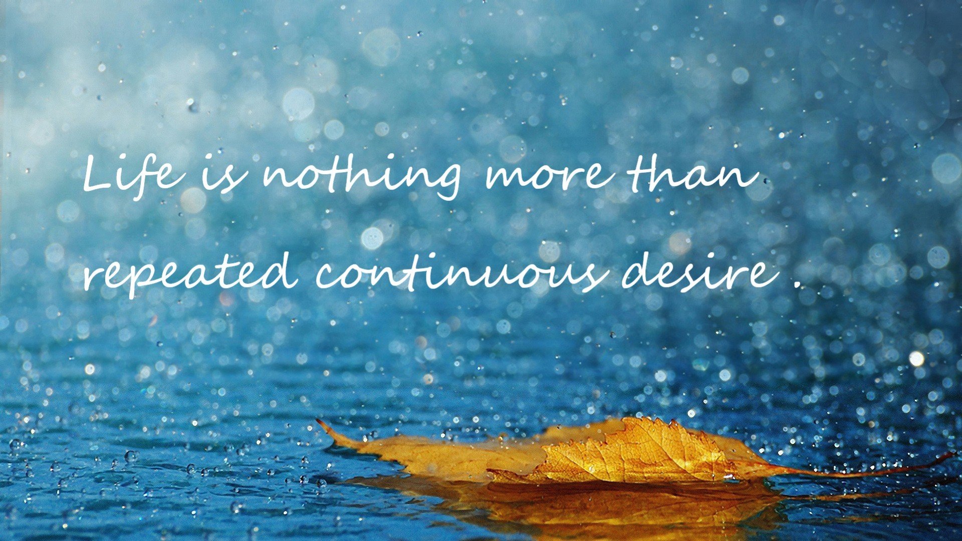 封锁与奔涌,当马赛的铁壁遇见国家德比的怒涛—两个无关的瞬间,同一个足球的本质