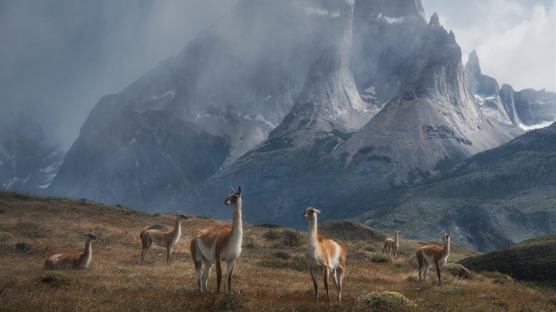 绿茵场上的火箭升空，意甲焦点夜，杰伦·格林完成篮球证明