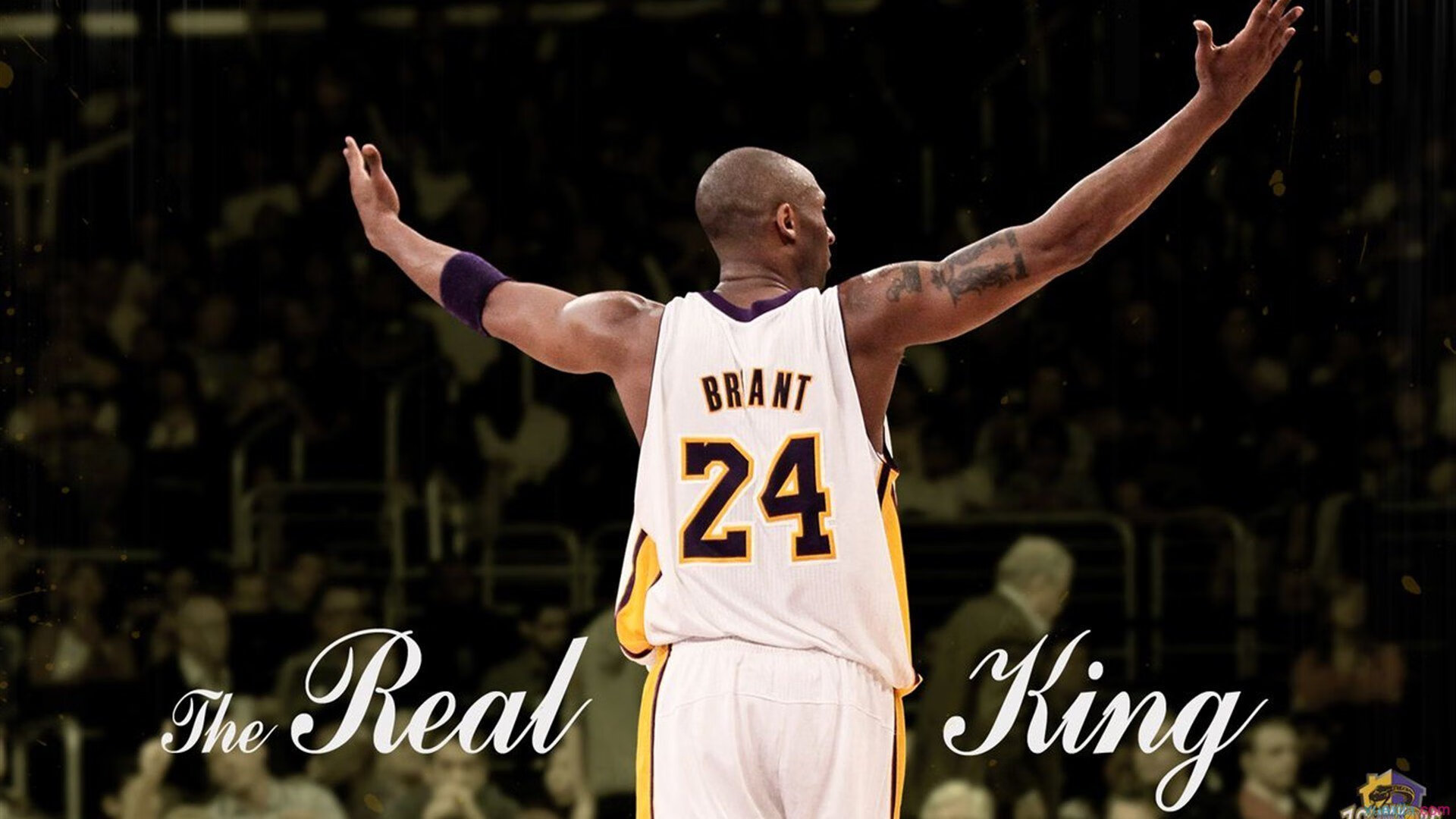 赛道争锋，魔力破局—从F1收官战术到篮球硬仗的胜者逻辑